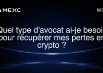 Quel type d’avocat ai-je besoin pour récupérer mes pertes en crypto ?