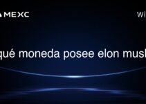 qué moneda posee elon musk