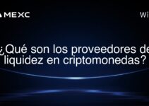 ¿Qué son los proveedores de liquidez en criptomonedas?