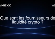 Que sont les fournisseurs de liquidité crypto ?