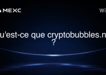 Qu’est-ce que cryptobubbles.net ?