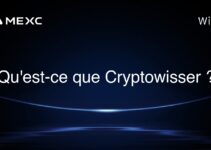 Qu’est-ce que Cryptowisser ?