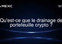 Qu’est-ce que le drainage de portefeuille crypto ?