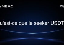 Qu’est-ce que le seeker USDT ?