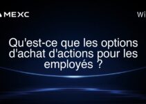 Qu’est-ce que les options d’achat d’actions pour les employés ?
