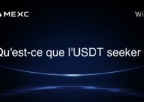 Qu’est-ce que l’USDT seeker ?