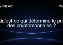 Qu’est-ce qui détermine le prix des cryptomonnaies ?