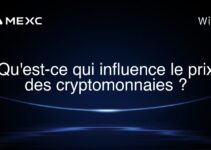 Qu’est-ce qui influence le prix des cryptomonnaies ?