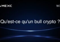 Qu’est-ce qu’un bull crypto ?