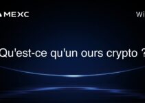 Qu’est-ce qu’un ours crypto ?