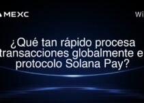 ¿Qué tan rápido procesa transacciones globalmente el protocolo Solana Pay?