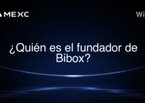 ¿Quién es el fundador de Bibox?