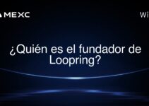 ¿Quién es el fundador de Loopring?