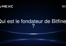 Qui est le fondateur de Bitfinex ?