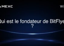 Qui est le fondateur de BitFlyer ?