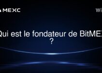Qui est le fondateur de BitMEX ?