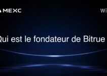 Qui est le fondateur de Bitrue ?