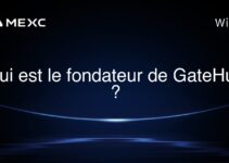 Qui est le fondateur de GateHub ?