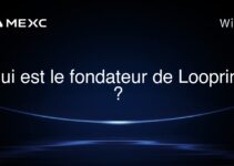 Qui est le fondateur de Loopring ?
