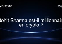 Rohit Sharma est-il millionnaire en crypto ?