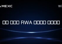 어떤 토큰이 RWA 토큰화로 유명한가