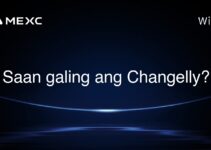 Saan galing ang Changelly?