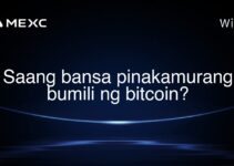 Saang bansa pinakamurang bumili ng bitcoin?