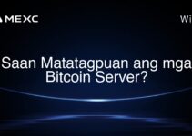 Saan Matatagpuan ang mga Bitcoin Server?