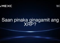 Saan pinaka ginagamit ang XRP?