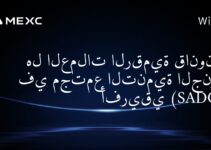 هل العملات الرقمية قانونية في مجتمع التنمية الجنوب أفريقي (SADC)؟