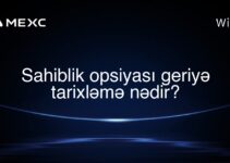 Sahiblik opsiyası geriyə tarixləmə nədir?