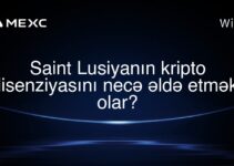 Saint Lusiyanın kripto lisenziyasını necə əldə etmək olar?