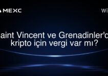 Saint Vincent ve Grenadinler’de kripto için vergi var mı?