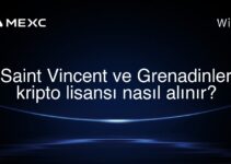 Saint Vincent ve Grenadinler kripto lisansı nasıl alınır?