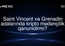 Saint Vincent və Grenadin adalarında kripto mədənçilik qanunidirmi?