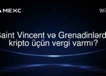 Saint Vincent və Grenadinlərdə kripto üçün vergi varmı?
