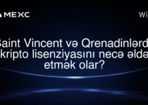 Saint Vincent və Qrenadinlərdə kripto lisenziyasını necə əldə etmək olar?