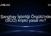 Şanghay İşbirliği Örgütü’nde (SCO) kripto yasal mı?