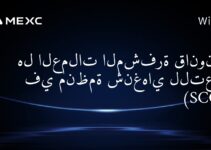 هل العملات المشفرة قانونية في منظمة شنغهاي للتعاون (SCO)؟