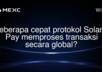 Seberapa cepat protokol Solana Pay memproses transaksi secara global?
