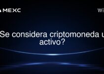 ¿Se considera criptomoneda un activo?