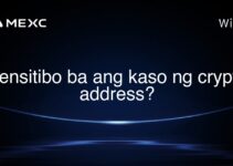 Sensitibo ba ang kaso ng crypto address?