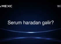 Serum haradan gəlir?