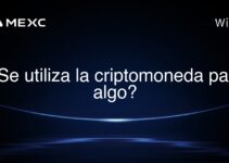 ¿Se utiliza la criptomoneda para algo?