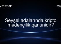 Seyşel adalarında kripto mədənçilik qanunidir?