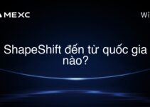 ShapeShift đến từ quốc gia nào?