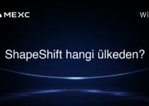 ShapeShift hangi ülkeden?