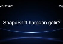 ShapeShift haradan gəlir?