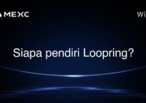 Siapa pendiri Loopring?