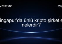 Singapur’da ünlü kripto şirketleri nelerdir?